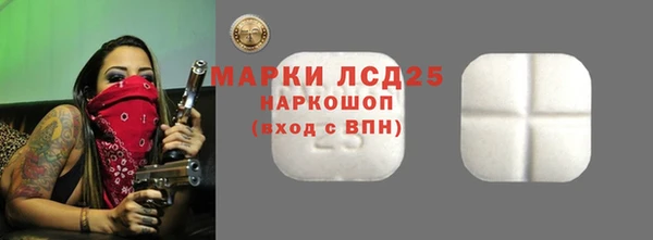 стафф Михайловск