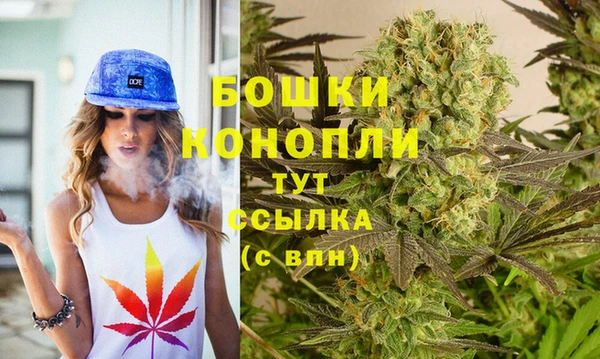стафф Михайловск