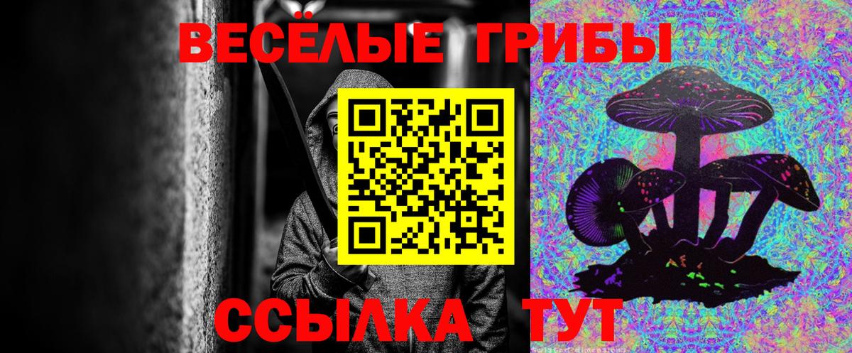 Галлюциногенные грибы MAGIC MUSHROOMS Павлово