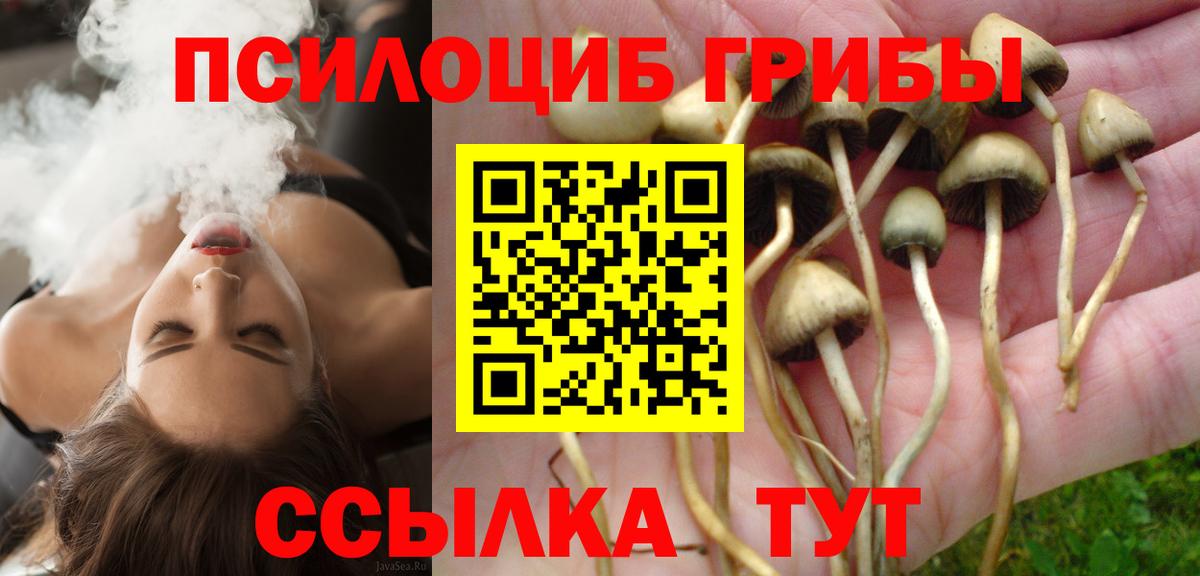 Галлюциногенные грибы Psilocybine cubensis  купить   Вход с VPN  Павлово  Галлюциногенные грибы ЛСД 